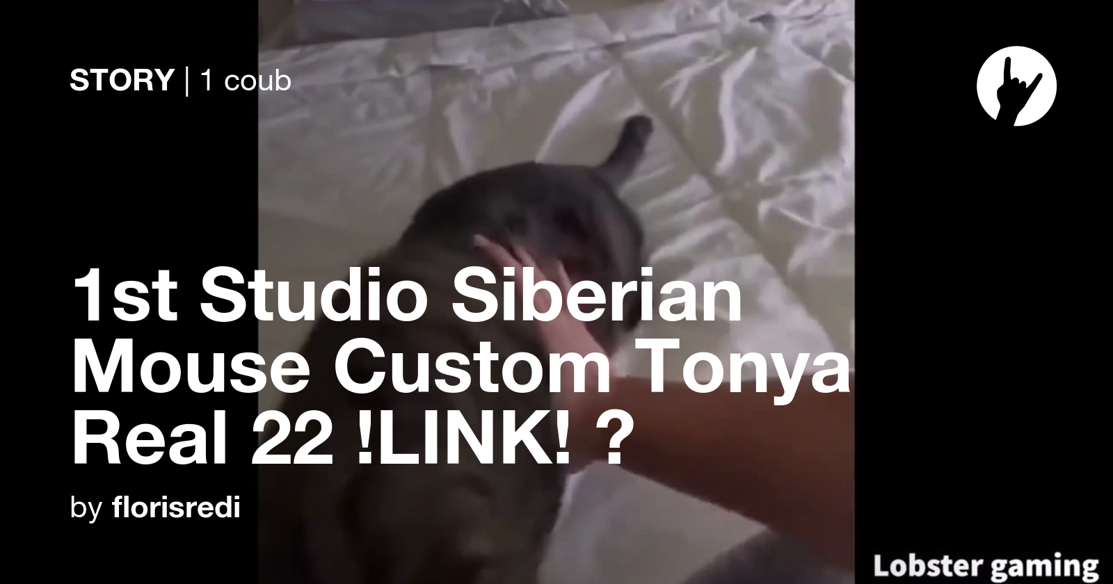 1st Studio Siberian Mouse Custom Tonya Real 22 Link ⭐ Coub